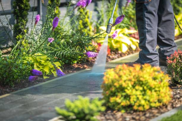 Best Restaurant Pressure Washing  in Belle Glade, FL